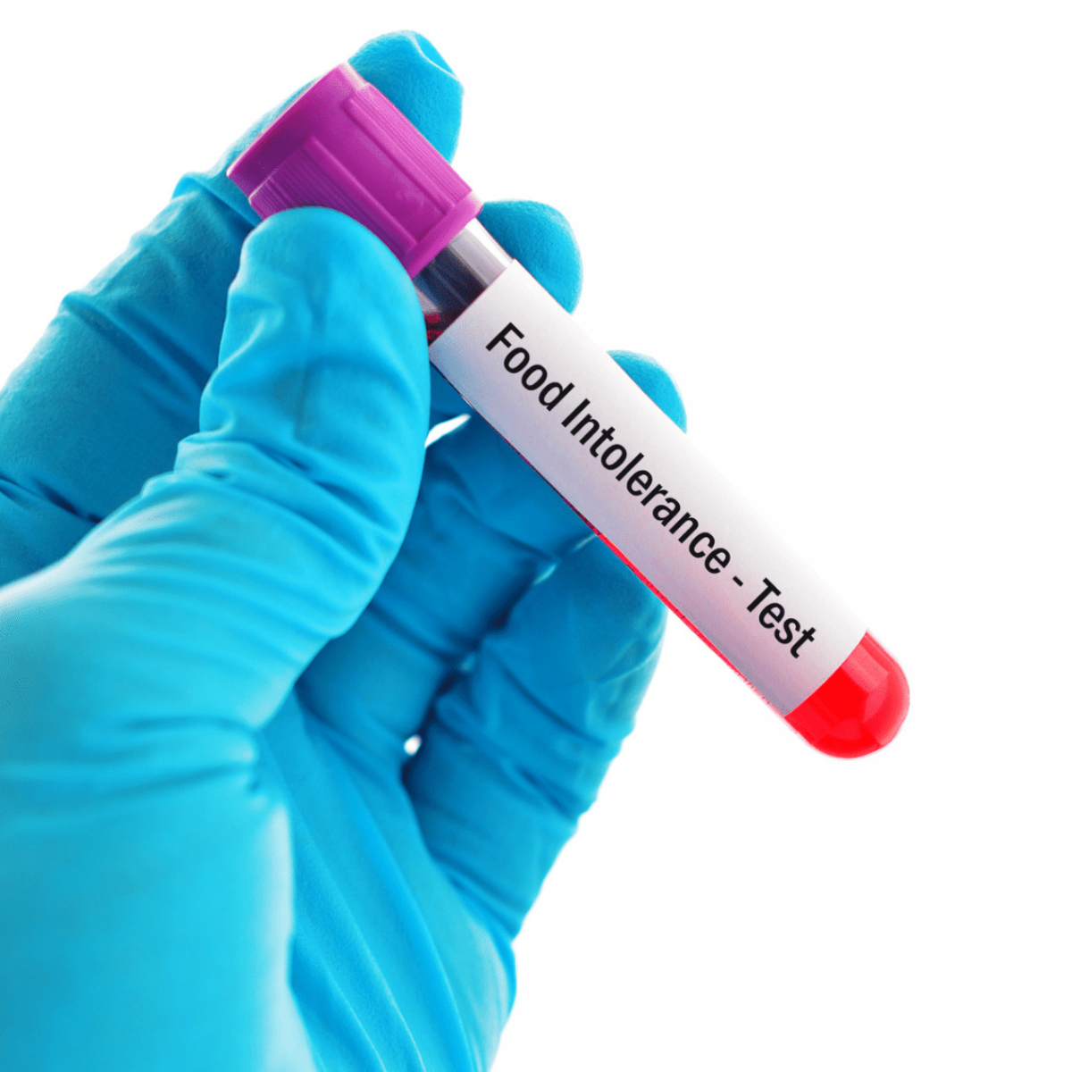 IgG food intolerance test 1 1200x1200 1 |